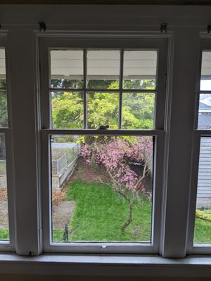 Old, single pane windows - before