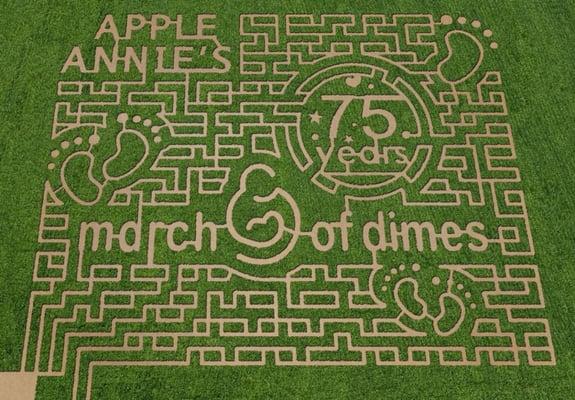 Apple Annie's celebrated the March of Dimes 75th anniversary in 2013 with this corn maze.