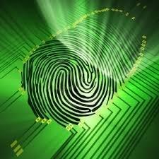 Fingerprinting Services