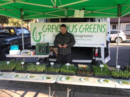 North County Farmer's Market