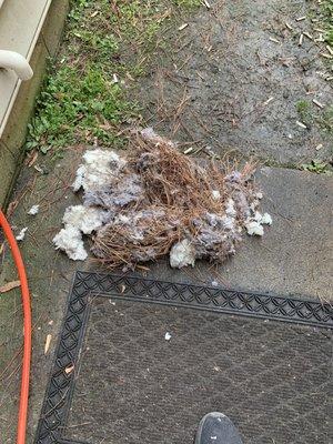 Dryer vent cleaning