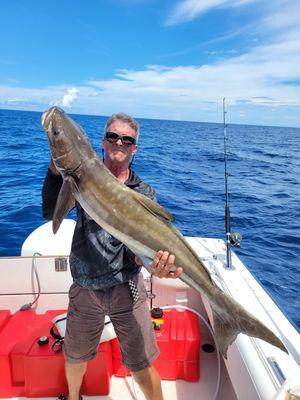 48 inch cobia