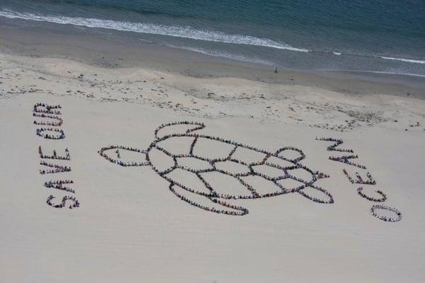 2009 Coronado Beach Clean Up with San Diego County Schools.  This aerial art piece is one of many done up and down the coast...