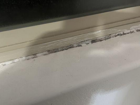 Mold in my roommates new window from all the water in our apartment.