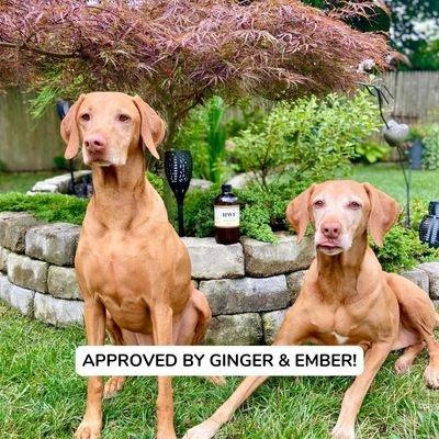 Ginger & Ember Approved