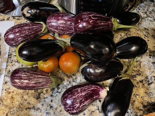 Eggplants