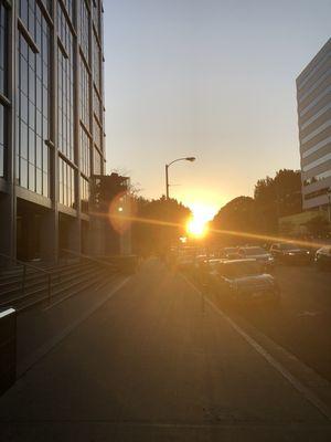 Just finished a pickup on sunset! Caught the golden hour. #goldenstateenvironmental