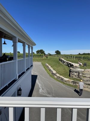 View to the vineyard