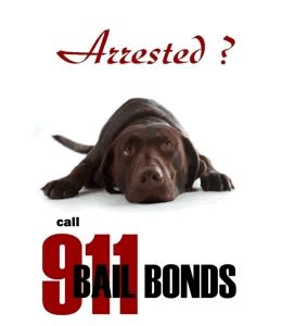 Weapons Bail Bonds