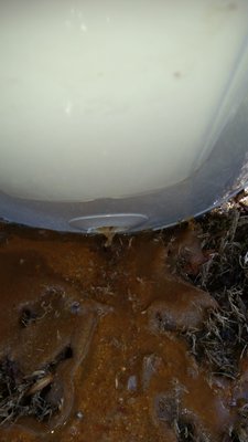 This is the rust and silicone sludge that lives in the bottom of your water heater. The older the heater, the worse the sediment.