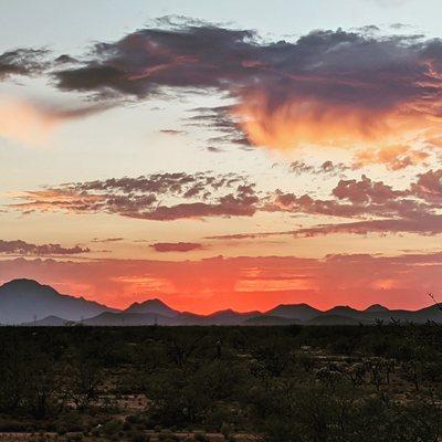 Tucsonian Sunset