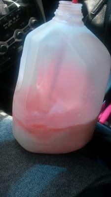 Brought my own cup! Lol 2 gallons of awesome!