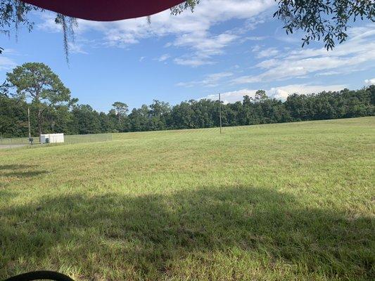 Pasture mowing