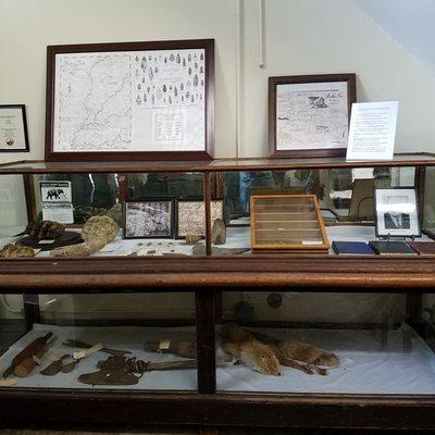 one of the displays in the main hallway