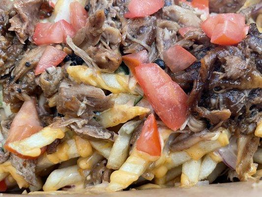 Chicken Adobo Fries (close-up)