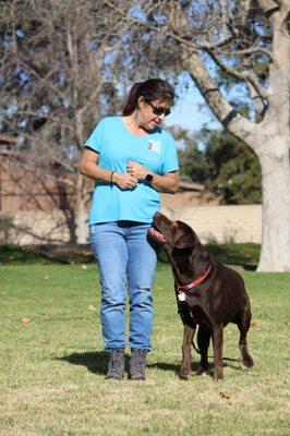 Harley and I working on off-leash Heel