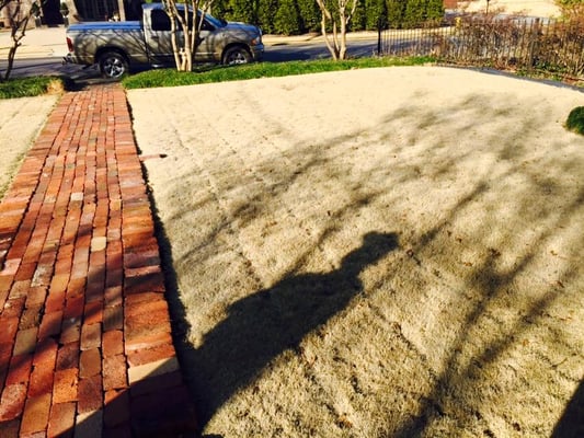 Installed brick walkway and new sod.