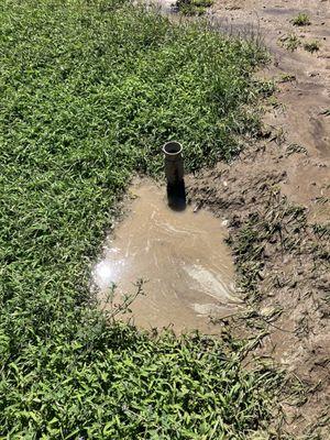 Flooded Headstone