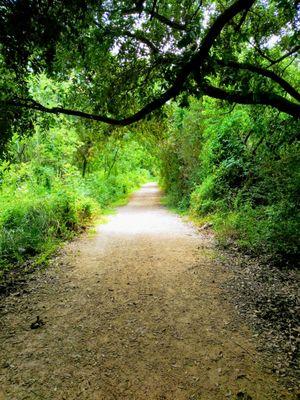 Hiking trails