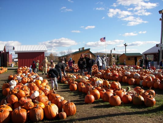 Our Pumpkin Corral