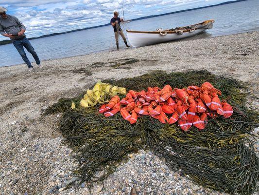 All-you-can-eat lobsters on the beach