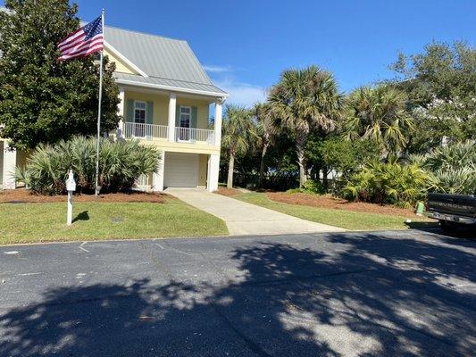 Palmetto trim all around house, New PineStraw put down.