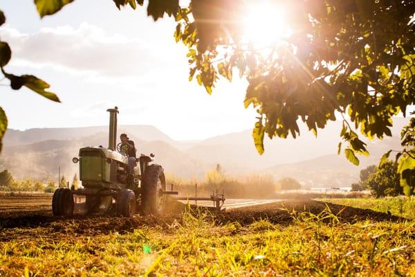 Editorial photography - image from a story about food production, fishing, and farming. Taken at Full Belly Farm in Guinda, CA.