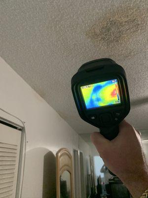 Thermal imaging