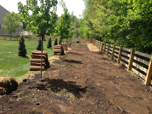 Sod installation (before pic)