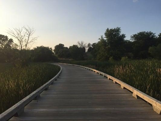 Bridge through wetlands.