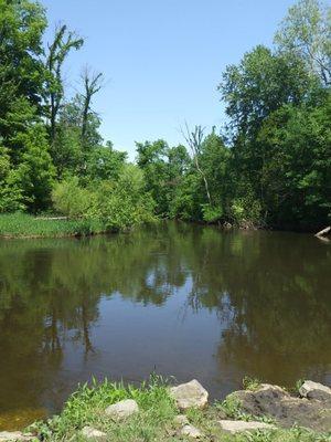 Beautiful Dowagiac River