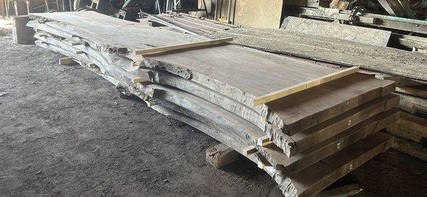 Walnut Slabs