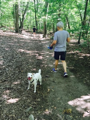 JJ is enjoying an excursion in the Centennial Park, Wellesley, Massachusetts.