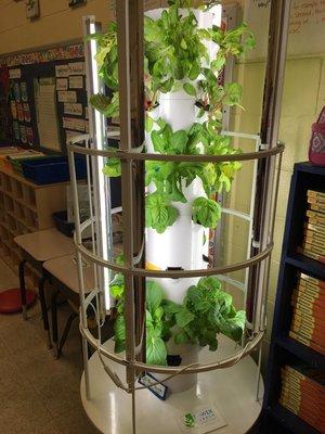 Tower Garden indoors