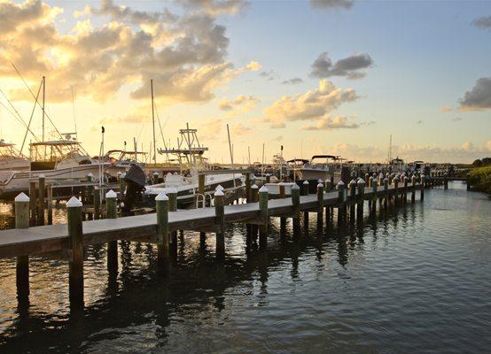 Walk on the docks for a gorgeous sunset view and dolphins frolicking in the river!