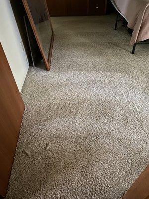 Tuff Carpet Cleaning