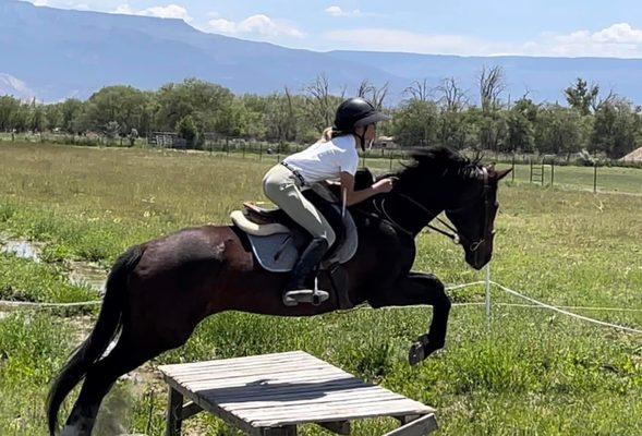 6 year eventing student, 2022