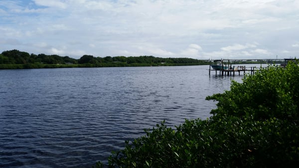 View of the river from the Wat.