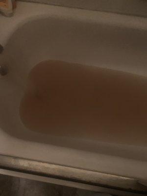 Bath tub water for almost a year and countless complaints.