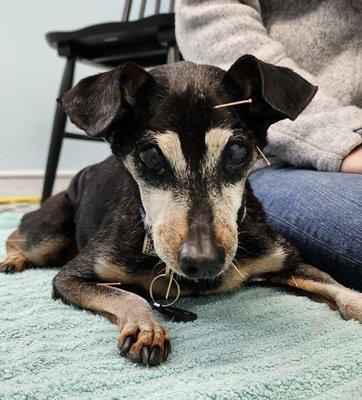 Kramer getting acupuncture