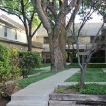 Beautiful Courtyard