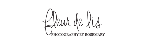 Fleur de lis Photography by RoseMary