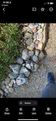 The Rock Garden Collection.