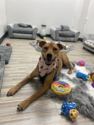 Billy comfy in out playroom