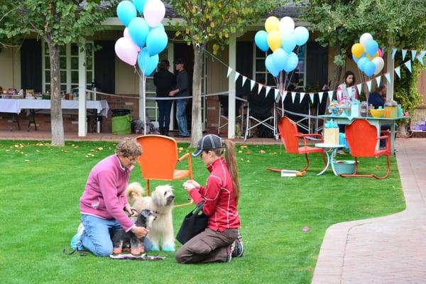 Kama getting some dogs ready on set