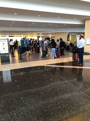 Imagine this many people and one agent. Well it's not your imagination, it's how  Hertz at SEATAC operates. Be prepared to wait a couple hrs