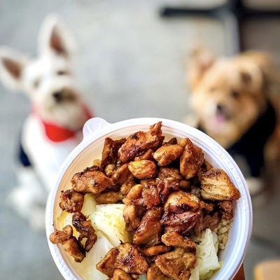 IG @FoodandPooch