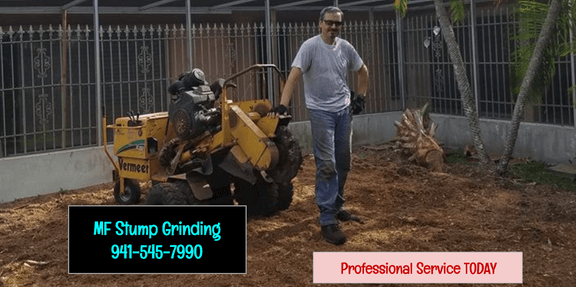 MF Stump Grinding