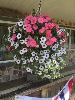 Gorgeous hanging basket from Cierech's!