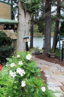 Welcoming walkway.